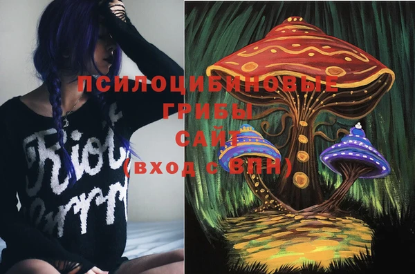 спиды Алексин