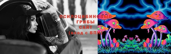 крисы Осташков