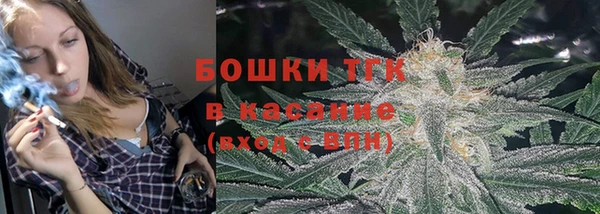 крисы Осташков